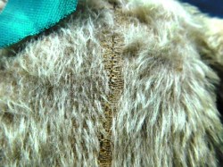 beige bear green ribbon b